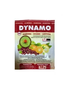 Dynamo Masso