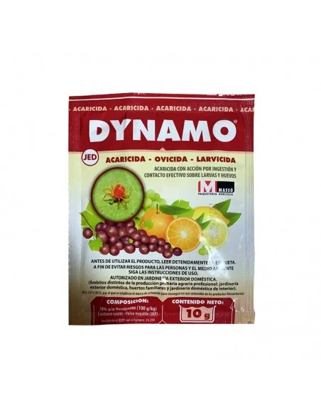 Dynamo Masso