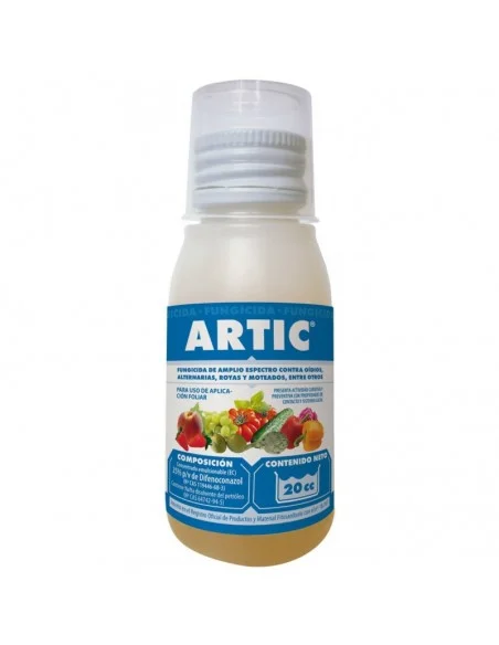 Artic masso