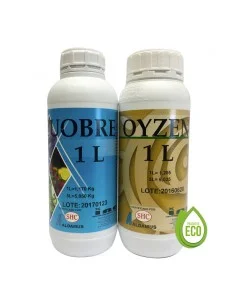 Pack ecológico invierno