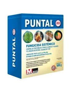 Fungicida sistémico Puntal