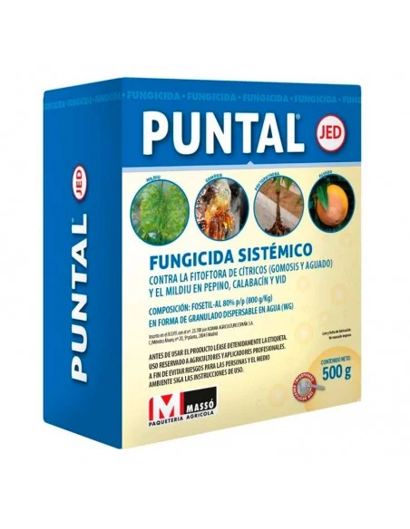Fungicida sistémico Puntal