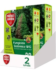 PACK 2 ALIETTE 500GRS