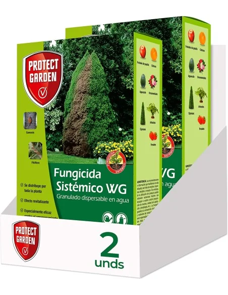 PACK 2 ALIETTE 500GRS