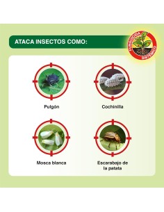 Sanium Concentrado 100 ml | Insecticida Sistémico 2