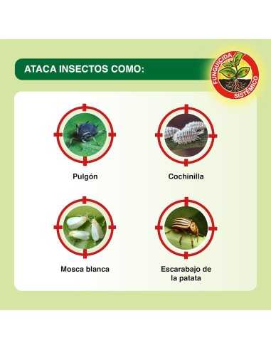 Sanium Concentrado 100 ml | Insecticida Sistémico