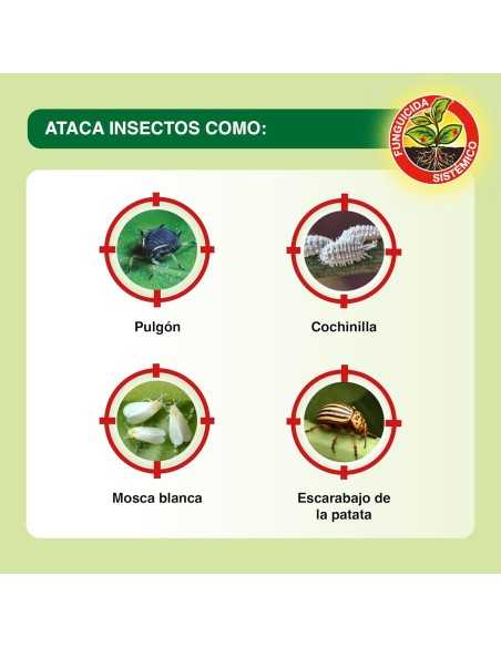 Sanium Concentrado 100 ml | Insecticida Sistémico