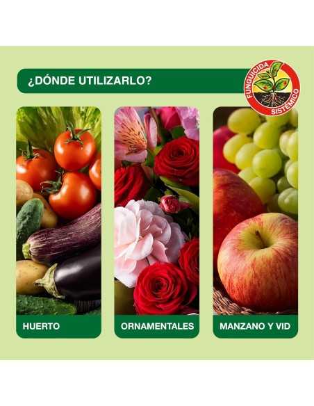 Sanium Concentrado 100 ml | Insecticida Sistémico
