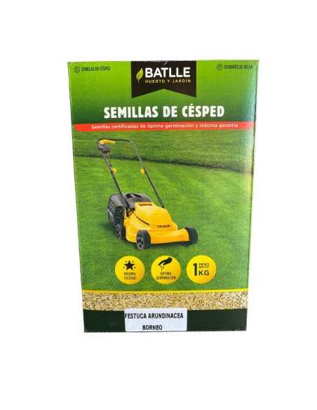 Festuca Arundinacea Borneo 1 kg | Semilla de césped para jardín