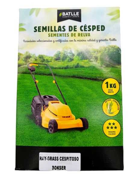 Ray Grass Cespitoso 5 kG