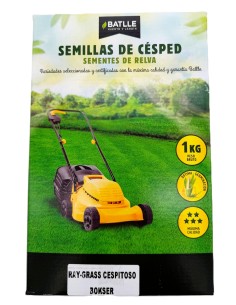 Ray Grass Cespitoso 1 kg