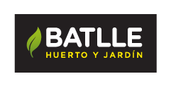 Batlle