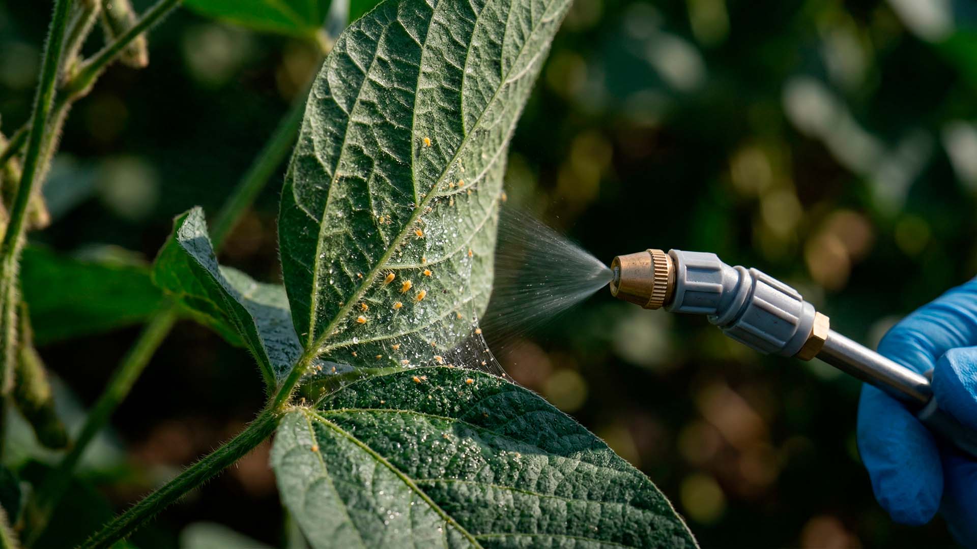 Acaricida Insecticida