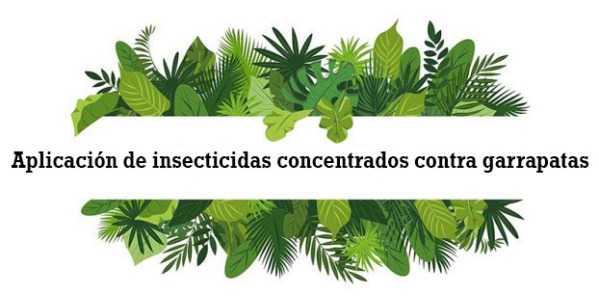 Aplicación de insecticidas concentrados contra garrapatas