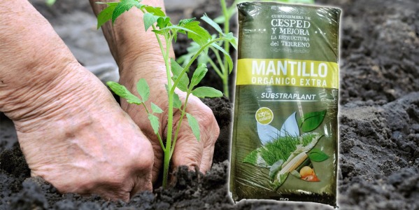 Mantillo Substraplant