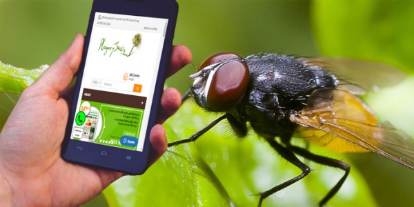 Tienda online de control de plagas: venta de fungicidas, acaricidas, abonos, insecticidas, semillas,... 