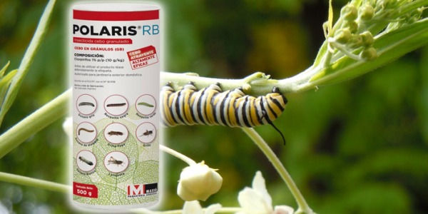 POLARIS INSECTICIDA GRANULADO