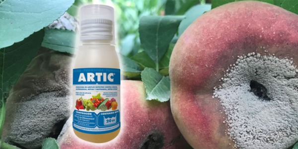 Contraenfermedades Artic JED