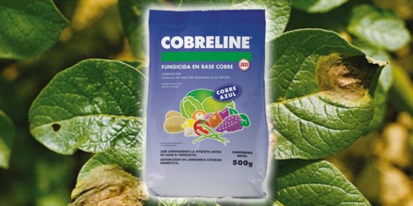 Cobreline 500
