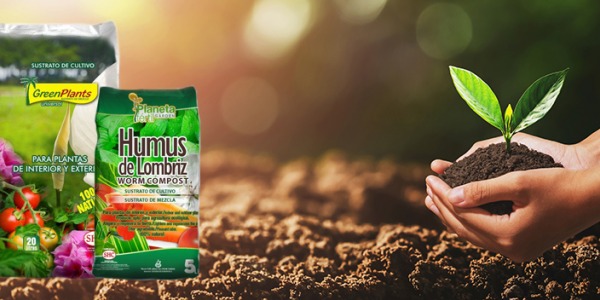 El mejor fertilizante: Humus de lombriz