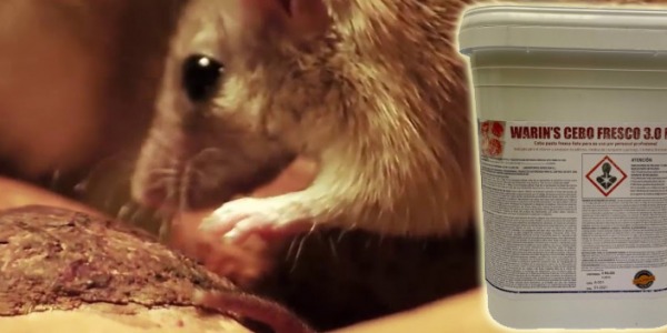 Raticida WARIN'S en bloque o pasta con portacebos
