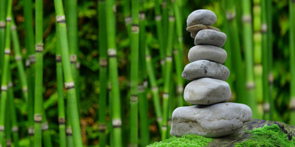 ¿Quieres ser ecológico? No pares en tu jardín y cambia tu compañía de luz