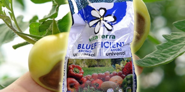 Abono Universal Bluefficient 25kg
