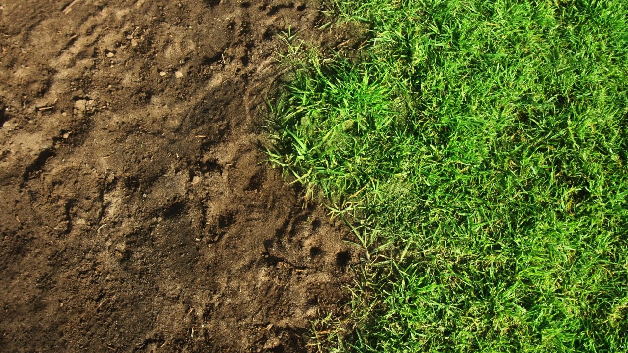 Abonar el suelo para plantar césped
