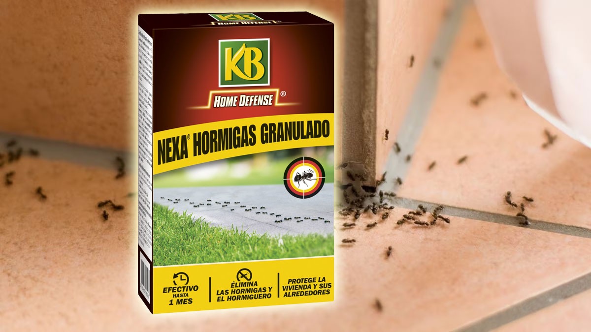 Insecticida Nexa para hormigas granulado