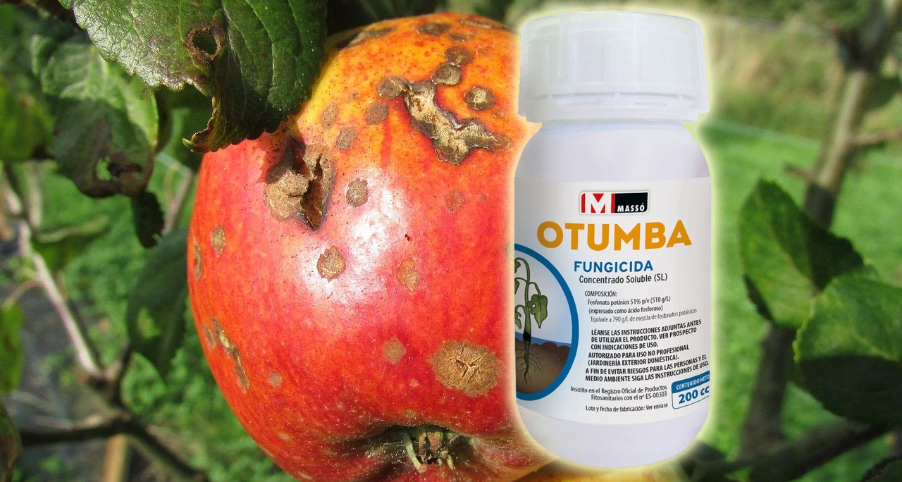 Otumba 200cc Fungicida ecológico