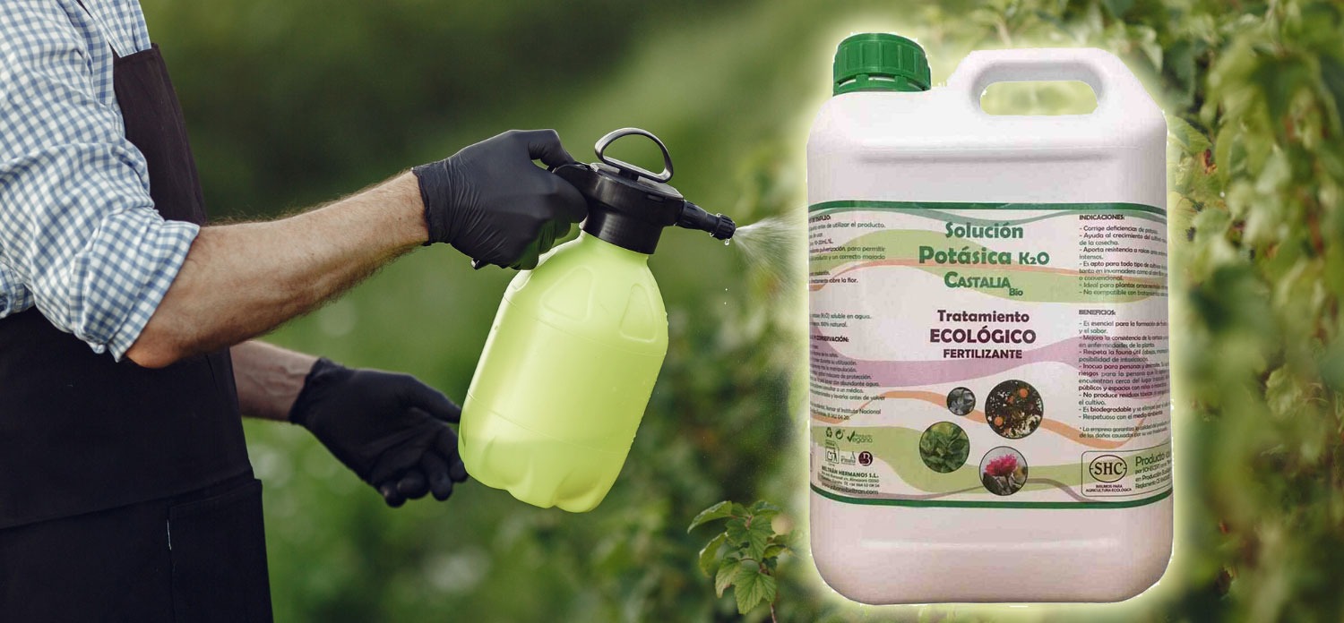 Jabón negro Castalia para plantas