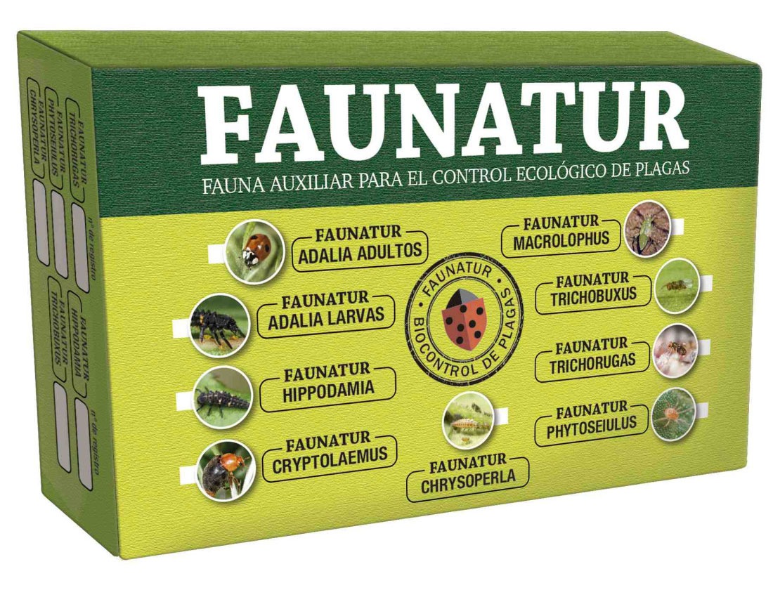 Faunatur Adalia Larvas contra Pulgones