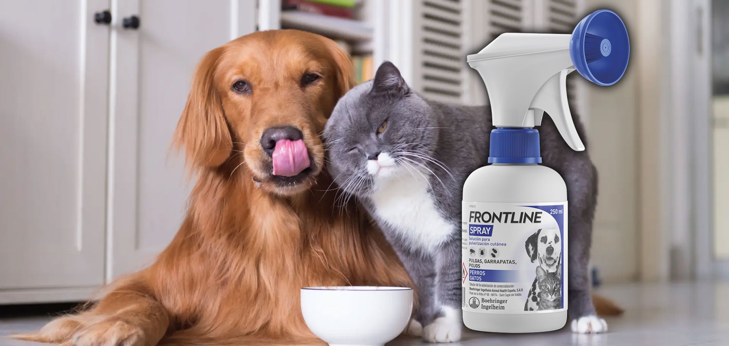 Frontline Spray. Insecticida contra pulgas, garrapatas y piojos en perros y gatos