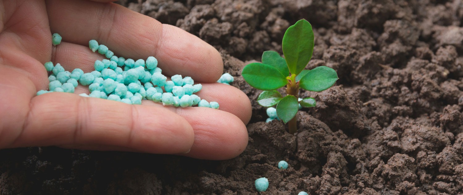 Abonos orgánicos para revitalizar los suelos
