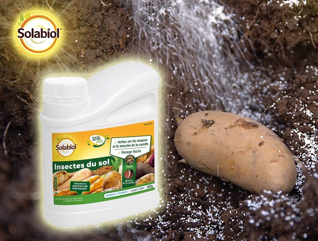 INSECTICIDA GRANULADO SOBRE SUELOS 600GRS