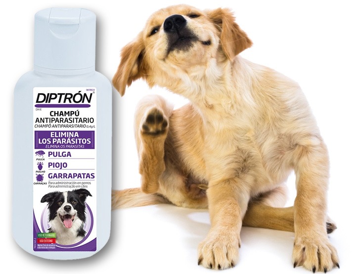 DIPTRON CHAMPÚ ANTIPARASITARIO