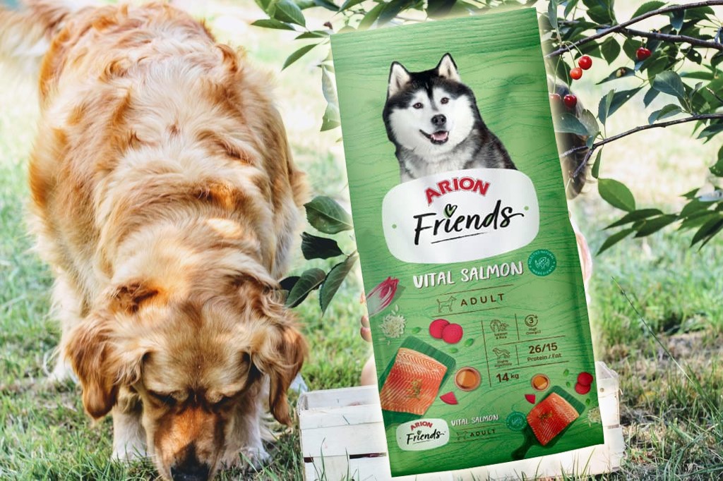 ARION FRIENDS VITAL SALMON 3 Y 14KG