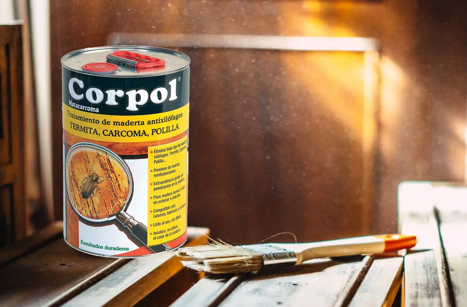 Matacarcoma y termita en pintura para tratamiento de madera